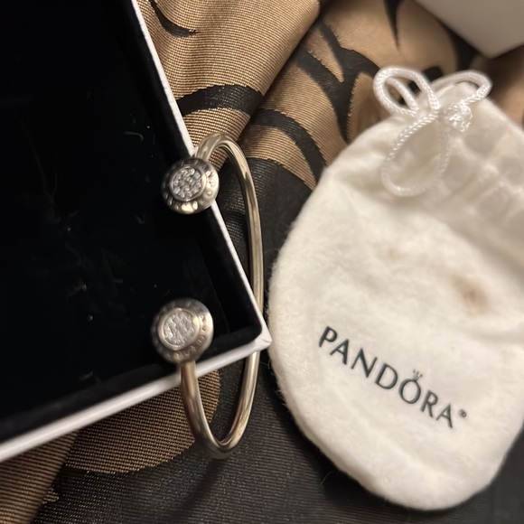 Pandora bracelet set - Picture 2 of 7